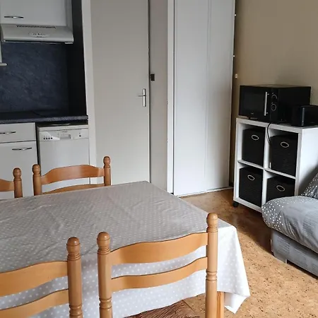 Appar T2 3 Lits Vue Montagne Terrasse Vielle Aure Apartamento Saint-Lary-Soulan