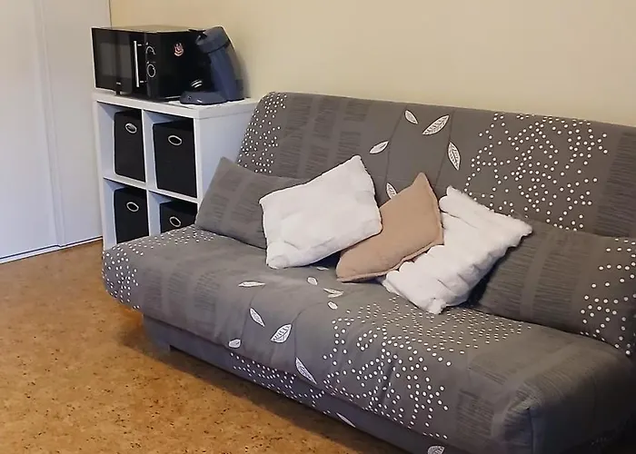 Appar T2 4 Lits Vue Montagne Rez De Chaussée Appartement Saint-Lary-Soulan