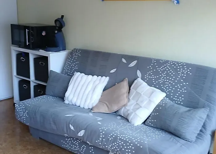 Appar T2 4 Lits Vue Montagne Rez De Chaussée Appartement Saint-Lary-Soulan